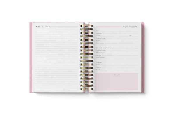 Planner Feminino 2025