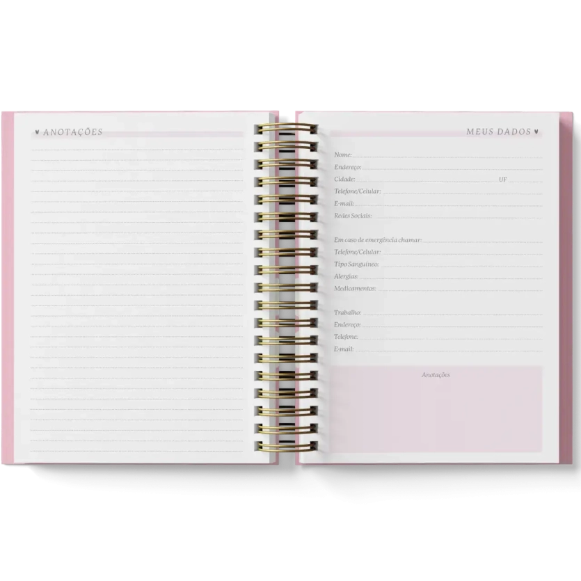 Planner Feminino 2025